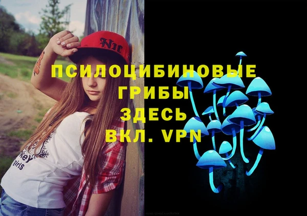 МДПВ Наволоки