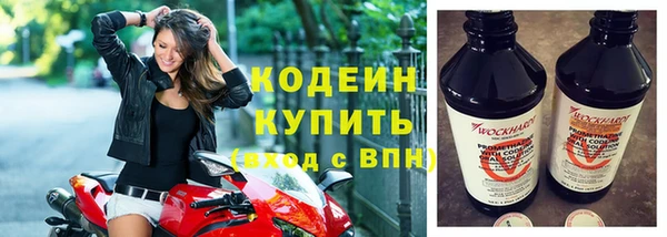 МДПВ Нея