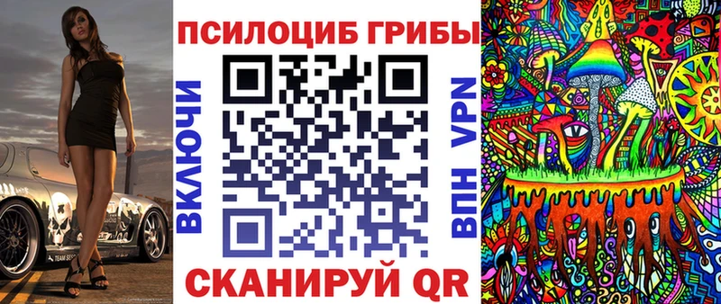 MEGA вход  Тюмень  Галлюциногенные грибы Psilocybe 