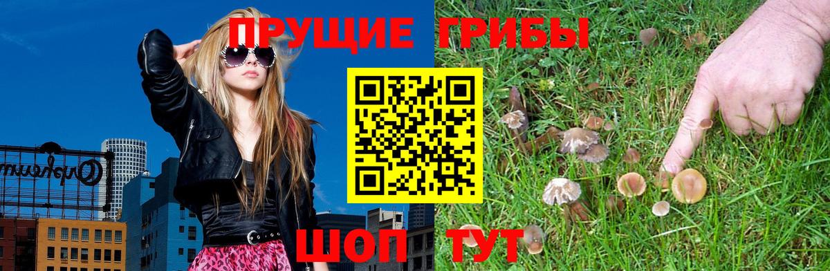 Тюмень  Псилоцибиновые грибы Psilocybe  Псилоцибиновые грибы ЛСД  Вход с VPN 